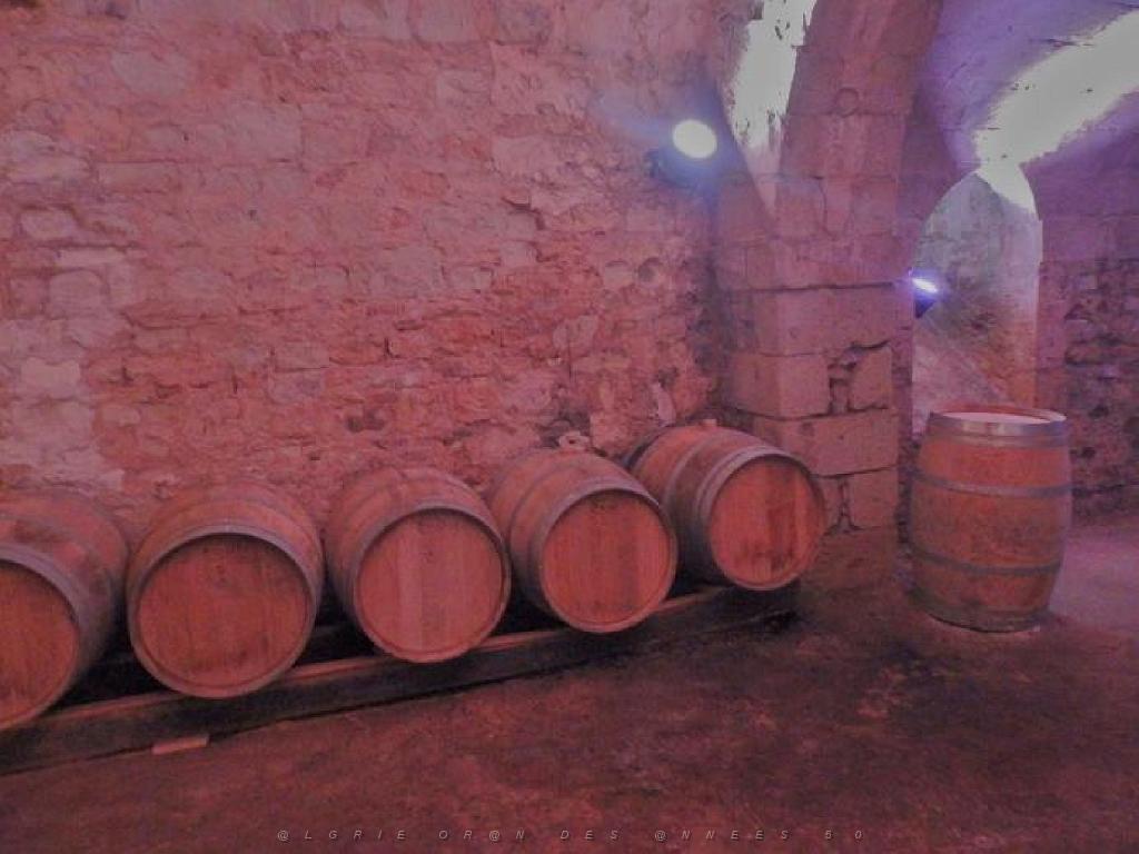 149 CHATEAU DE MONTREUIL BELLAY MAINE ET LOIRE 2016_000054.jpg